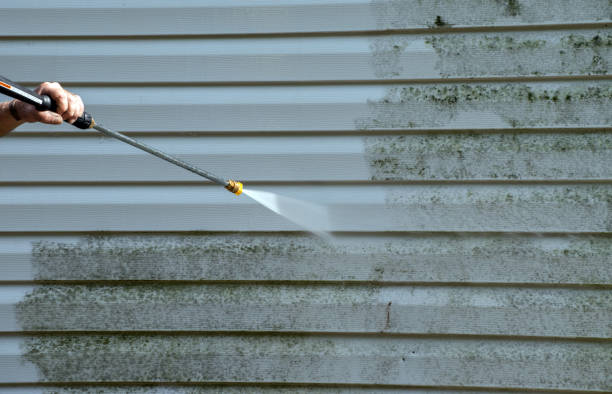 Best Driveway Pressure Washing  in Woodacre, CA